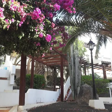 Sunny self-catering apartment Costa Teguise, Lanzarote, Spain Esterno foto