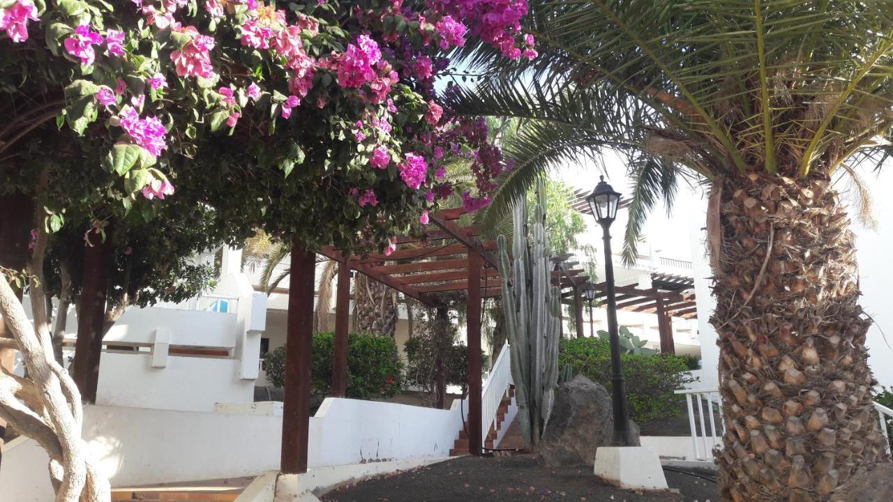 Sunny Self-catering Costa Teguise, Lanzarote, Spain *