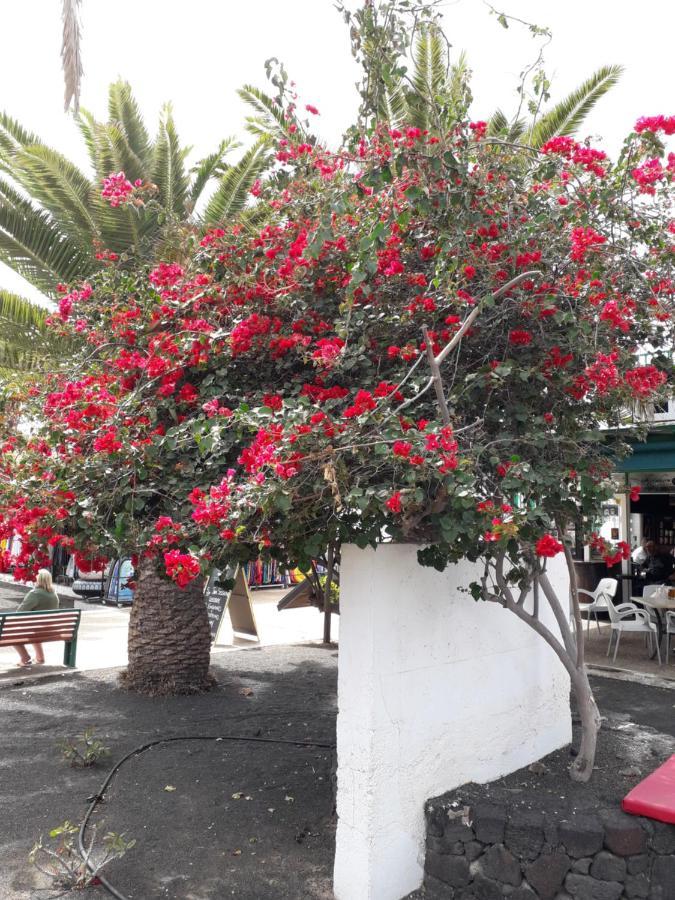 Apartamento Sunny Self-catering Costa Teguise, Lanzarote, Spain
